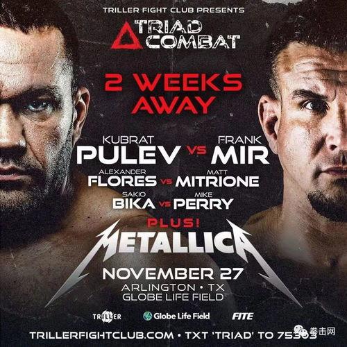 拳王挑战者爆料视频,揭秘幕后真相与激烈对决